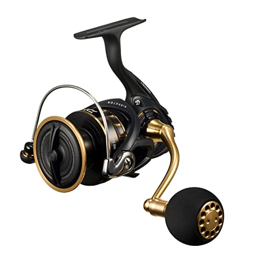 New DAIWA Shore Jigging Spinning Reel 23BG SW 5000D-CXH !