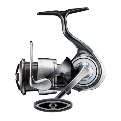 New DAIWA LT2500 Spinning Reel 24 Celte (2024 Model) !