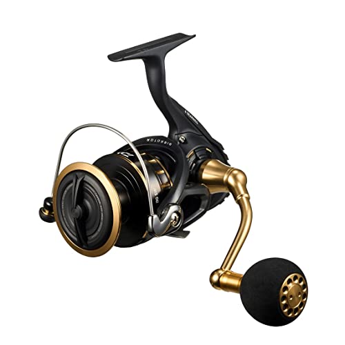New Daiwa Spinning Reel 23BG SW 6000D-P !