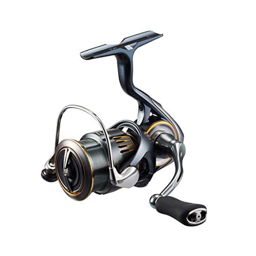 New DAIWA LT2000S-H Light Salt  Area Trout  Native Trout  Spinning Reel  !