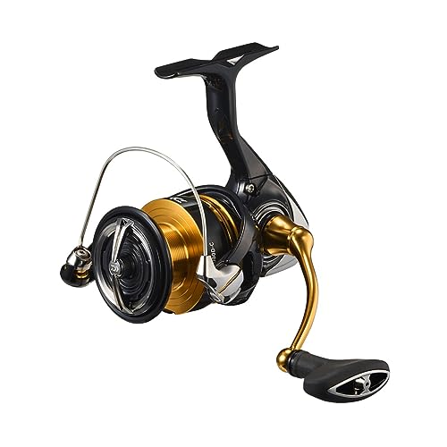 New Daiwa LT3000D-C Spinning Reel  23 Legalis !