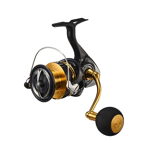 New DAIWA LT5000-CXH Shore Jigging Spinning Reel  23 Legalis !