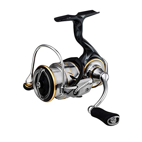 New DAIWA LT2500 Spinning Reel 20 (2020 Model) !
